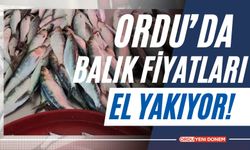 Ordu’da Balık Fiyatları El Yakıyor! 12 Eylül 2024