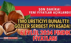 Yeni Fiyatlar Açıklandı! TMO Üreticiyi Bunalttı! Gözler Serbest Piyasada! 6 Eylül 2024 Fındık Fiyatları