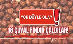 Yok Böyle Olay! 18 Çuval Fındık Çaldılar!