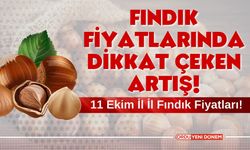 11 Ekim 2024 Fındık Fiyatlarında Dikkat Çeken Artış!