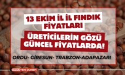 13 Ekim İl İl Fındık Fiyatları… Üreticilerin Gözü Güncel Fiyatlarda!