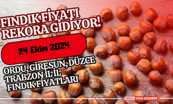 Fındık Fiyatı Rekora Gidiyor! Ordu, Giresun, Düzce, Trabzon İl İl Fındık Fiyatları 24 Ekim 2024