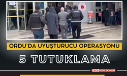 Ordu’da Uyuşturucu Operasyonu: 5 Tutuklama