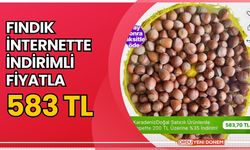 Fındık İnternette İndirimli Fiyatla 583 TL