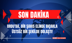 Ordu'da, Bir Şahıs Elinde Bıçakla Üstsüz Bir Şekilde Dolaştı!