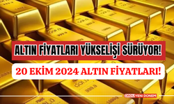 Altın fiyatları yükselişi sürüyor! 20 Ekim 2024 tam, cumhuriyet, gram ve çeyrek altın fiyatları ne kadar oldu, kaç TL?