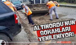 Altınordu’nun Sokakları Yenileniyor!