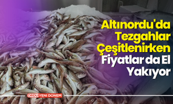 Altınordu'da Tezgahlar Çeşitlenirken Fiyatlar da El Yakıyor