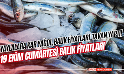 Yaylalara Kar Yağdı! Balık Fiyatları Tavan Yaptı!