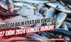 Ordu’da Balık Fiyatları Yükseldi: 27 Ekim 2024 Güncel Durum