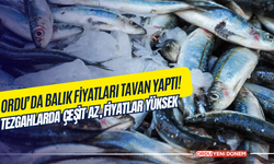 Ordu’da Balık Fiyatları Tavan Yaptı! Tezgahlarda Çeşit Az, Fiyatlar Yüksek