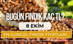 Bugün Fındık Kaç TL? 8 Ekim En Güncel Fındık Fiyatları…