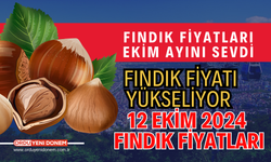 Fındık Ekim Ayını Sevdi! Fındık Fiyatları Yükseliyor! 13 Ekim 2024 Fiyatlar...