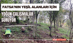 Fatsa’nın Yeşil Alanları İçin Yoğun Çalışmalar Sürüyor