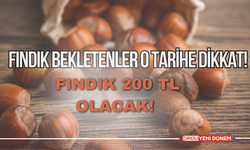 Fındık Bekletenler O Tarihe Dikkat! Fındık 200 TL Olacak!