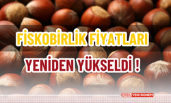 Fiskobirlik Fiyatları Yeniden Yükseldi