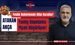 Fındık Bekletmede Altın Kurallar! Yanlış Depolama Fiyatı Düşürüyor!