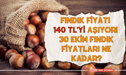 Fındık Fiyatı 140 TL’yi Aşıyor! 30 Ekim Fındık Fiyatları Ne Kadar?