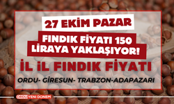 Fındık Fiyatı 150 Liraya Yaklaşıyor! 27 Ekim İl İl Fındık Fiyatları…