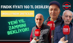 Fındık Fiyatı 160 TL Dediler! Ordulu Fındık Üreticileri Yeni Yıl Zammını Bekliyor!