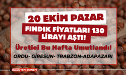 Fındık Fiyatları 130 Lirayı Aştı! Üretici Bu Hafta Umutlandı! 20 Ekim İl İl Fındık Fiyatları…