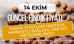 Fındık Fiyatları Haftaya Hareketli Başladı, Üretici Heyecanlandı! 14 Ekim Güncel Fındık Fiyatı…