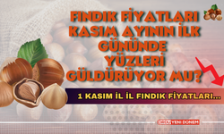 Fındık Fiyatları Kasım Ayının İlk Gününde Yüzleri Güldürüyor Mu? 1 Kasım İl İl Fındık Fiyatları…