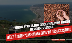 Fındık fiyatları Ordu Halkını Bakın Nerden Vurdu! Diğer İllerde Yükselirken Ordu’da Düşüş Yaşandı!