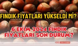 Fındık Fiyatları Yükseldi Mi? 6 Ekim 2024 Fındık Fiyatları Son Durum?