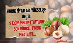 Fındık fiyatları yükselişe Geçti! 2 Ekim Fındık Fiyatları! Son Güncel Fındık Fiyatları…