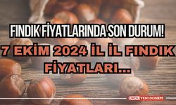 Fındık Fiyatlarında Son Durum! 7 Ekim 2024 İl İl Fındık Fiyatları…