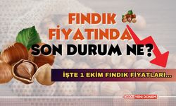 Fındık Fiyatlarında Son Durum Ne? İşte 1 Ekim Fındık Fiyatları...