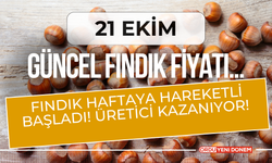 Fındık Haftaya Hareketli Başladı! Üretici Kazanıyor! 21 Ekim Fındık Fiyatları