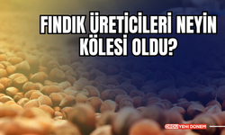 Fındık Üreticileri Neyin Kölesi Oldu?