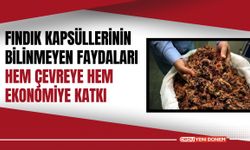 Fındık Kapsüllerinin Bilinmeyen Faydaları