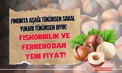 Fındıkta Aşağı Tükürsen Sakal Yukarı Tükürsen Bıyık! Fiskobirlik ve Ferrero’dan Yeni Fiyat!