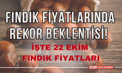 Fındık Fiyatlarında Rekor Beklentisi! İşte 22 Ekim Fındık Fiyatları