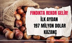 Fındıkta Rekor Gelir! İlk Aydan 197 Milyon Dolar Kazanç