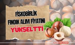 FİSKOBİRLİK, Fındık Alım Fiyatını Yükseltti!