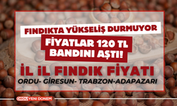 Fındıkta Yükseliş Durmuyor: Fiyatlar 120 TL Bandını Aştı!