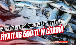 Balık Fiyatları Soğuk Hava ile Zirve Yaptı! Fiyatlar 500 TL'yi Gördü!