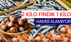 2 Kilo Fındık 1 Kilo Hamsi Alamıyor!