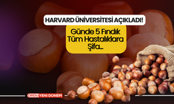 Harvard Üniversitesi Açıkladı! Günde 5 Fındık Tüm Hastalıklara Şifa