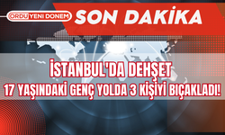 İstanbul'da Dehşet: 17 Yaşındaki Genç Yolda 3 Kişiyi Bıçakladı!