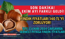 Fındık fiyatları 140 TL’yi zorluyor! İşte 23 Ekim 2024 Çarşamba serbest piyasa fındık fiyatları