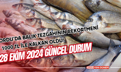 Ordu’da Balık Tezgahının Rekortmeni 1000 TL ile Kalkan Oldu!