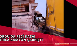 Ordu’da Feci Kaza! Tırla Kamyon Çarpıştı