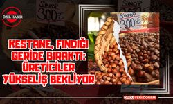 Kestane, Fındığı Geride Bıraktı: Üreticiler Yükseliş Bekliyor