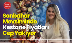 Sonbahar Mevsiminde Kestane Fiyatları Cep Yakıyor