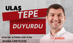 Ulaş Tepe Duyurdu: Sokak Köpekleri İçin Mama Üretilecek